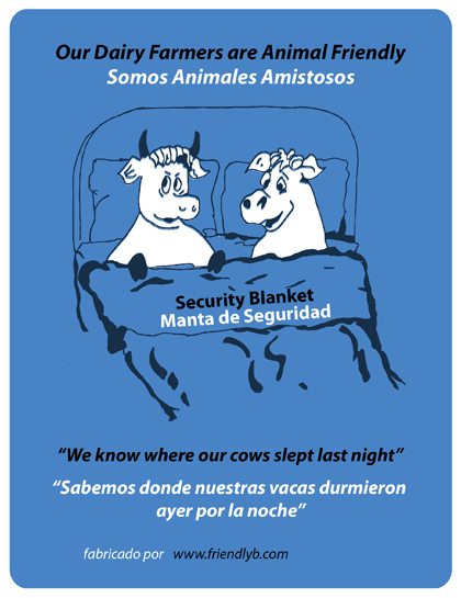 Cows graphic